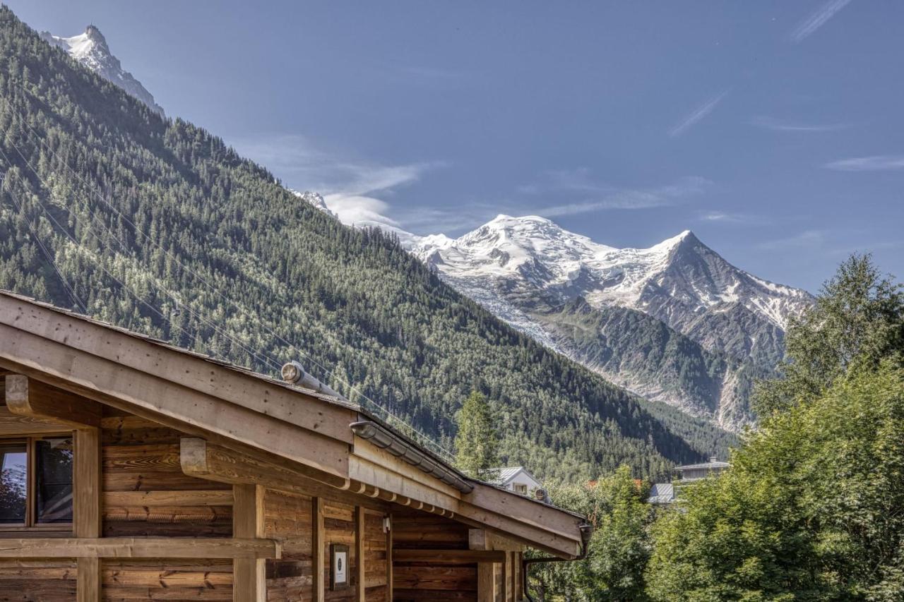 Panorama Du Mont-Blanc- Spacious And Ideally Located 1 Bedroom Apartment Chamonix Zewnętrze zdjęcie